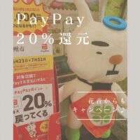 PayPay20%還元キャンペーン♪